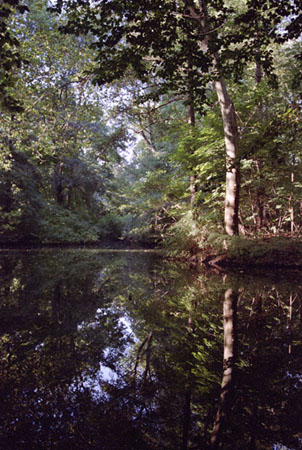 Pond in the Tiergarten, Berlin, Germany